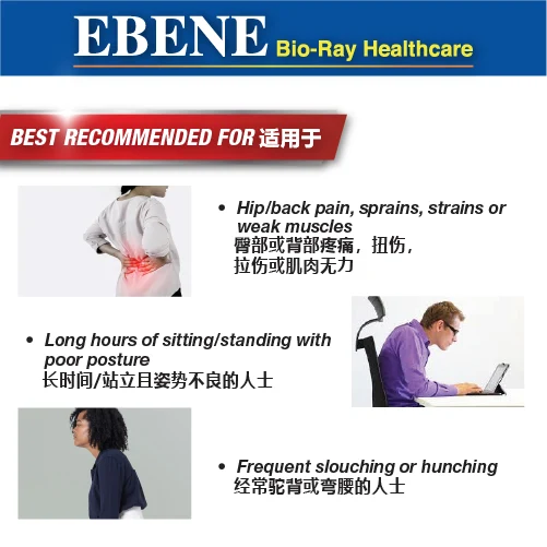 EBENE BIO-RAY BACK SUPPORT BELT (FREE SIZE) - Image 5