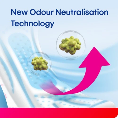 KOTEX SOFT & SMOOTH MAXI 24CM 20SX3 - Image 10