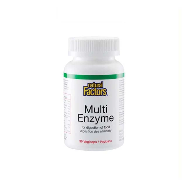 NATURAL FACTORS MULTI ENZYME 90S