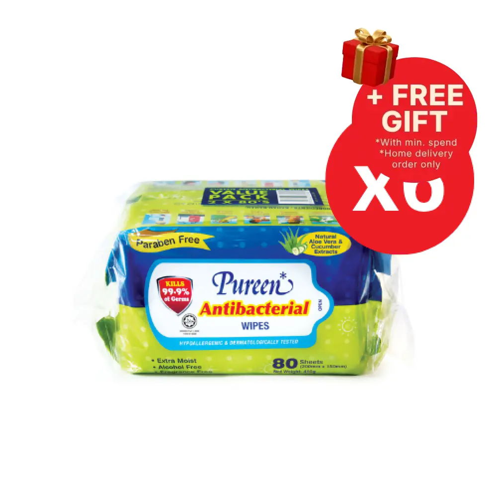 PUREEN ANTI-BACTERIAL WIPES (ABW 2080) 80S x 12